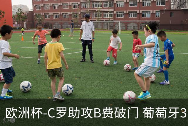 欧洲杯-C罗助攻B费破门 葡萄牙3-0土耳其
